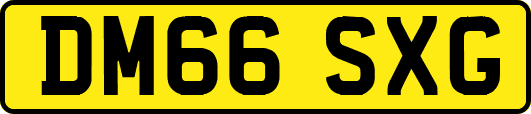 DM66SXG