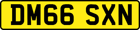 DM66SXN