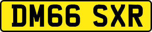 DM66SXR