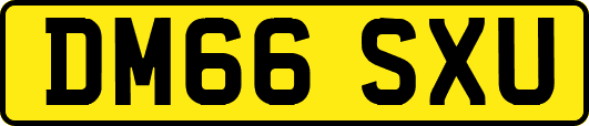 DM66SXU