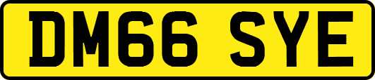 DM66SYE