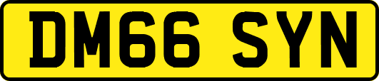 DM66SYN