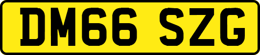 DM66SZG