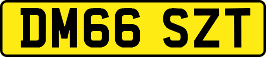 DM66SZT