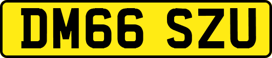 DM66SZU