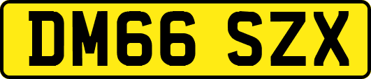 DM66SZX