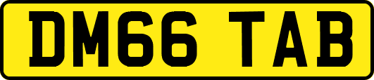DM66TAB