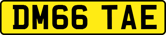 DM66TAE