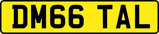DM66TAL