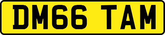 DM66TAM