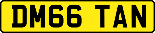 DM66TAN