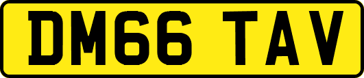 DM66TAV