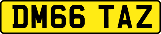 DM66TAZ