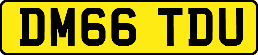 DM66TDU