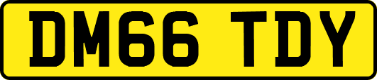 DM66TDY