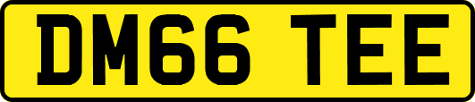 DM66TEE