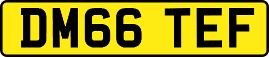 DM66TEF
