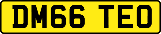 DM66TEO