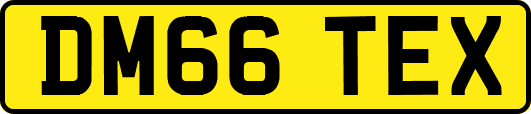 DM66TEX