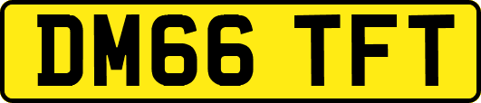 DM66TFT