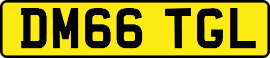 DM66TGL