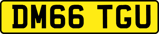 DM66TGU