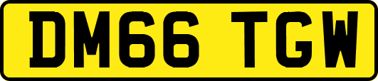 DM66TGW