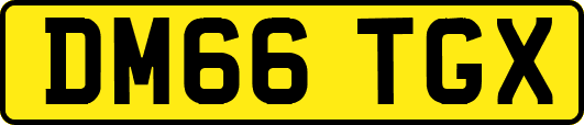 DM66TGX