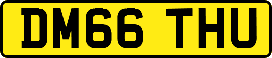 DM66THU
