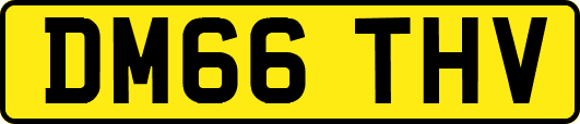DM66THV