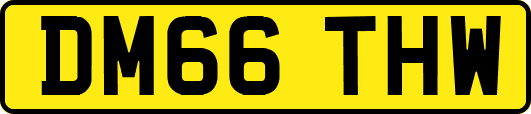 DM66THW