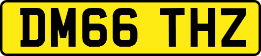 DM66THZ
