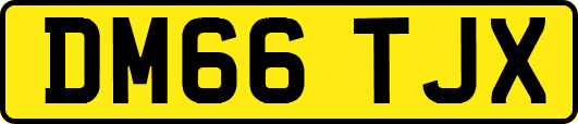 DM66TJX