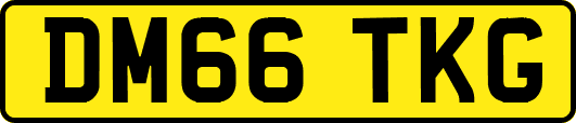 DM66TKG