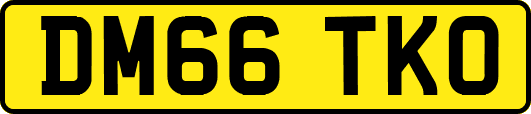DM66TKO