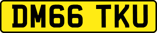 DM66TKU