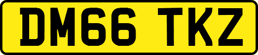 DM66TKZ
