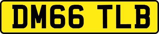 DM66TLB