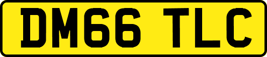 DM66TLC