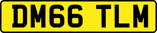 DM66TLM