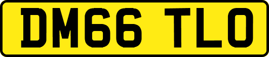 DM66TLO