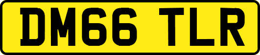 DM66TLR