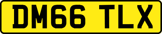DM66TLX
