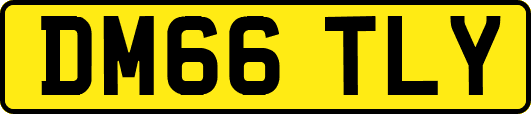 DM66TLY