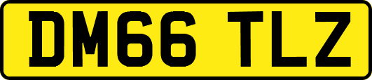DM66TLZ