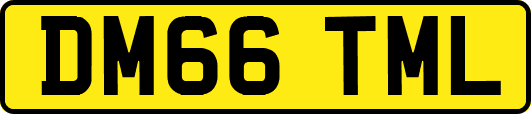 DM66TML