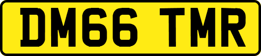 DM66TMR