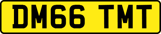 DM66TMT