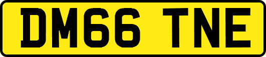 DM66TNE