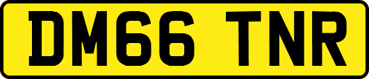 DM66TNR